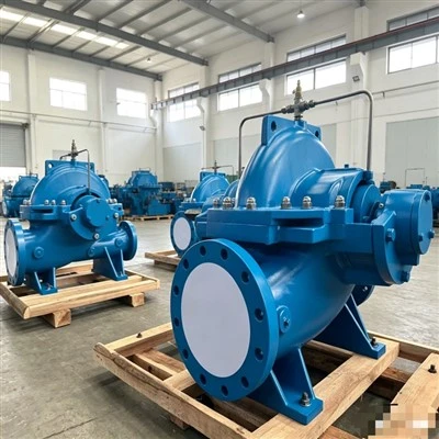 1000m³ / H Kab rov tav Split Case Pump